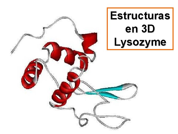 Estructuras en 3 D Lysozyme 