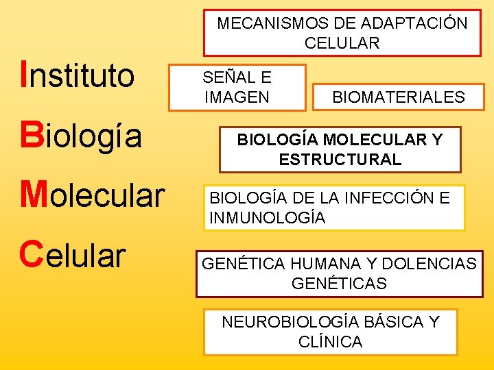 MECANISMOS DE ADAPTACIÓN CELULAR Instituto Biología Molecular Celular SEÑAL E IMAGEN BIOMATERIALES BIOLOGÍA MOLECULAR