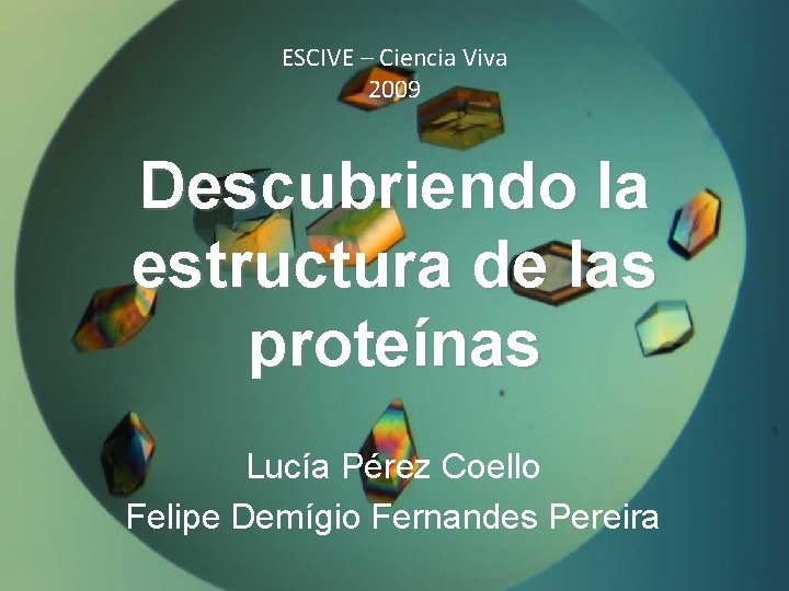 ESCIVE – Ciencia Viva 2009 Descubriendo la estructura de las proteínas Lucía Pérez Coello