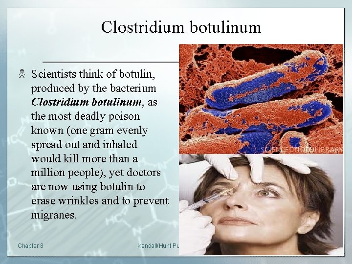 Clostridium botulinum N Scientists think of botulin, produced by the bacterium Clostridium botulinum, as