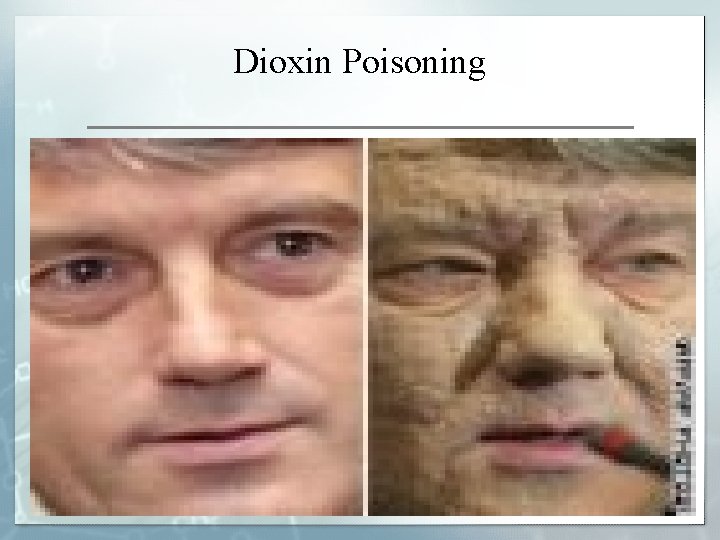 Dioxin Poisoning Chapter 8 Kendall/Hunt Publishing Company 38 