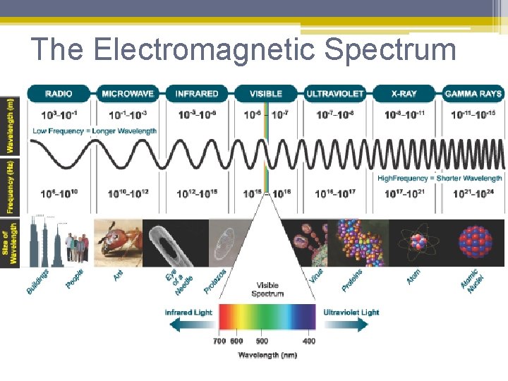 The Electromagnetic Spectrum 