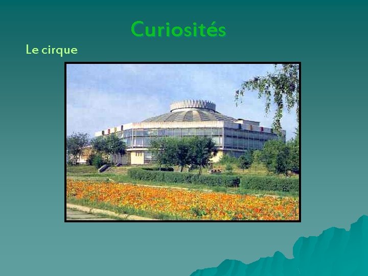 Le cirque Curiosités 