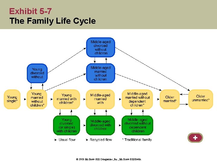 Exhibit 5 -7 The Family Life Cycle + © 2003 Mc. Graw-Hill Companies, Inc.