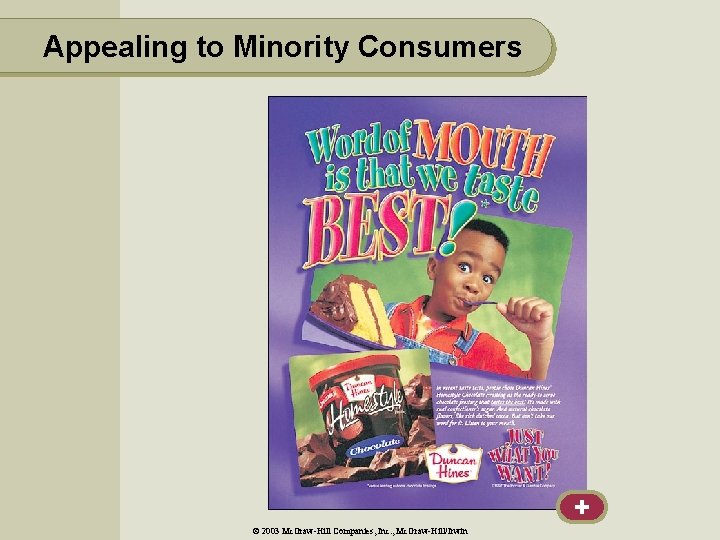 Appealing to Minority Consumers + © 2003 Mc. Graw-Hill Companies, Inc. , Mc. Graw-Hill/Irwin