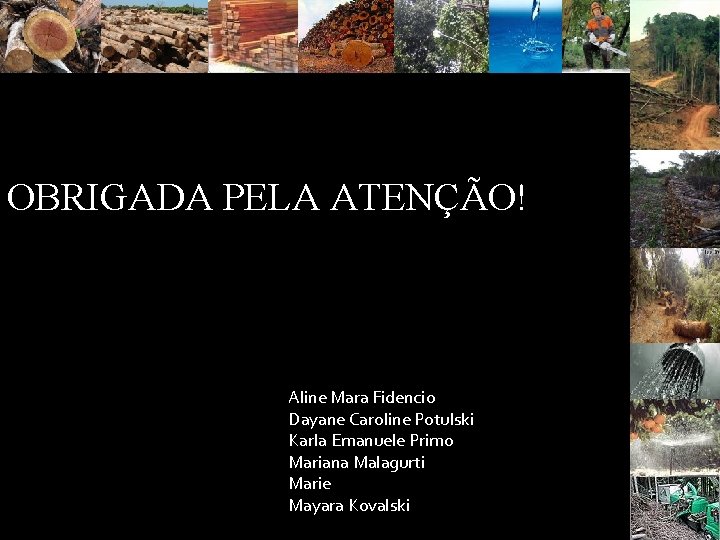 OBRIGADA PELA ATENÇÃO! Aline Mara Fidencio Dayane Caroline Potulski Karla Emanuele Primo Mariana Malagurti