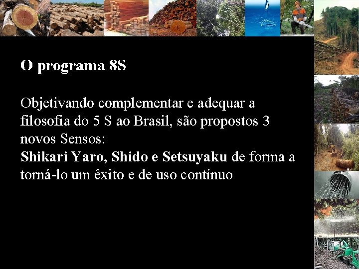 O programa 8 S Objetivando complementar e adequar a filosofia do 5 S ao