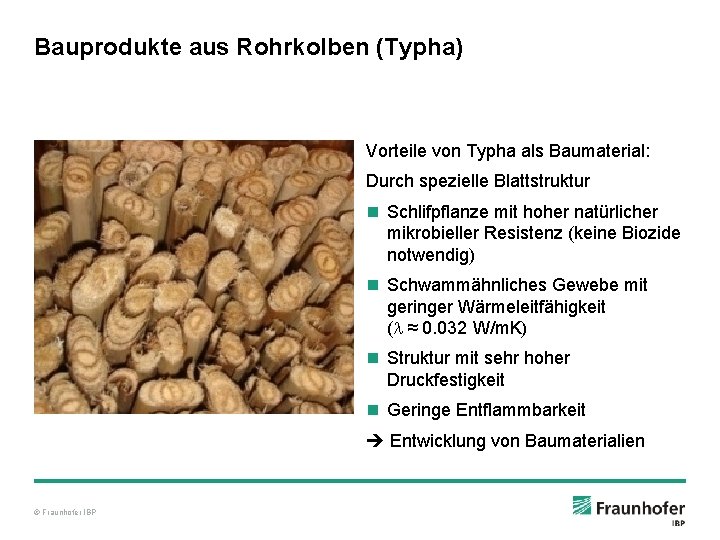 Bauprodukte aus Rohrkolben (Typha) Vorteile von Typha als Baumaterial: Durch spezielle Blattstruktur n Schlifpflanze