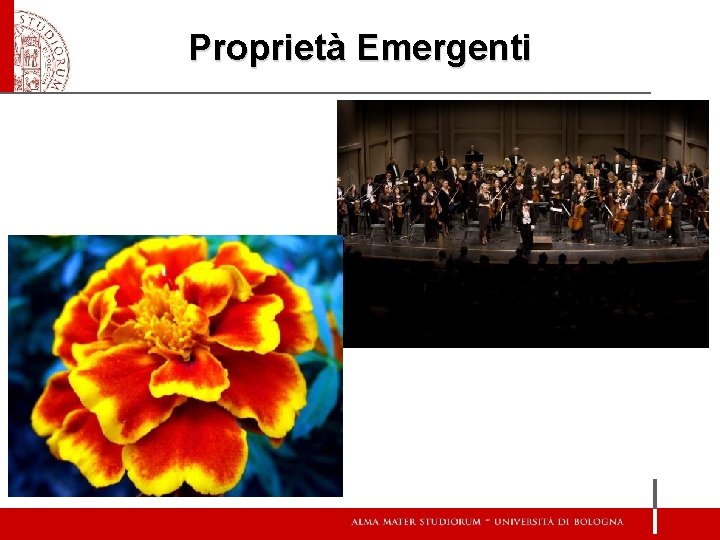 Proprietà Emergenti 