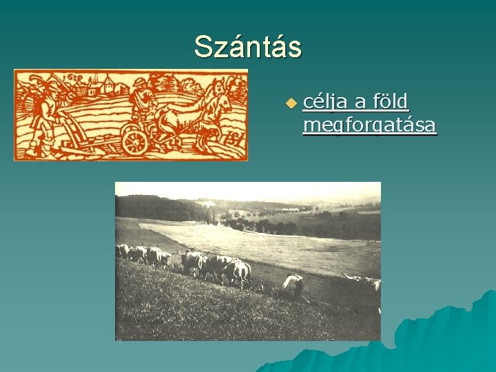 Szántás u célja a föld megforgatása 