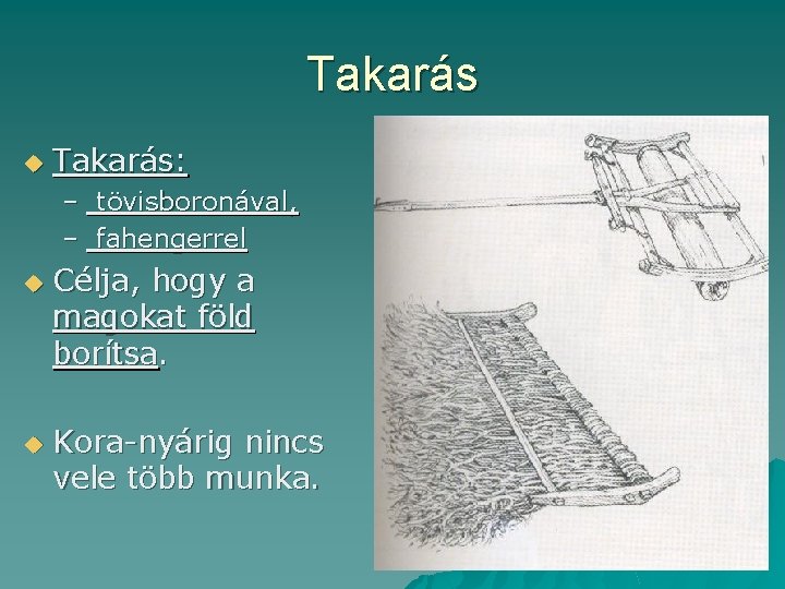 Takarás u Takarás: – tövisboronával, – fahengerrel u u Célja, hogy a magokat föld