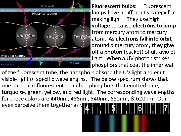 Fluorescent bulbs: Fluorescent lamps have a different strategy for making light. They use high