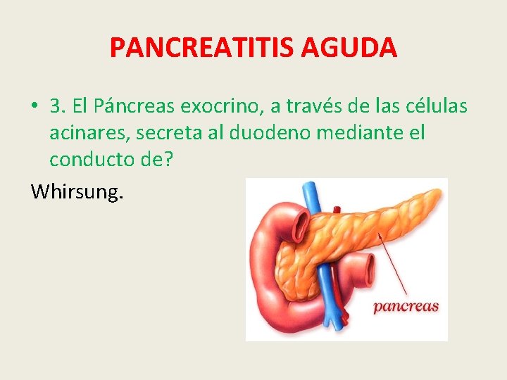 PANCREATITIS AGUDA • 3. El Páncreas exocrino, a través de las células acinares, secreta