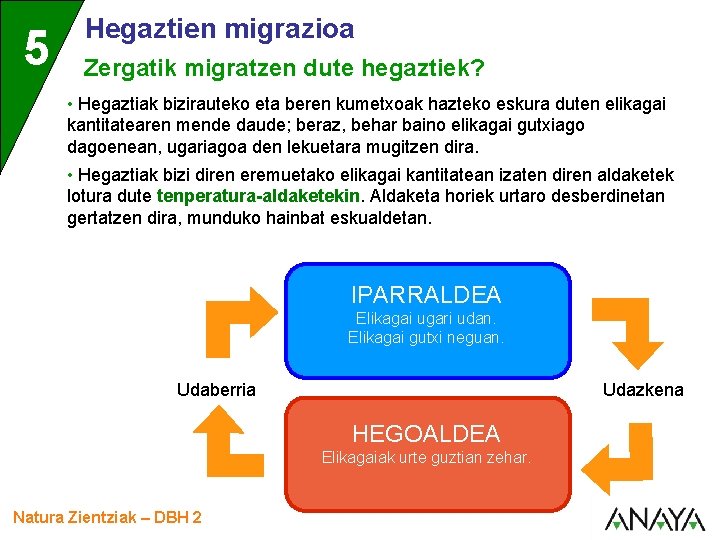 5 Hegaztien migrazioa Zergatik migratzen dute hegaztiek? • Hegaztiak bizirauteko eta beren kumetxoak hazteko