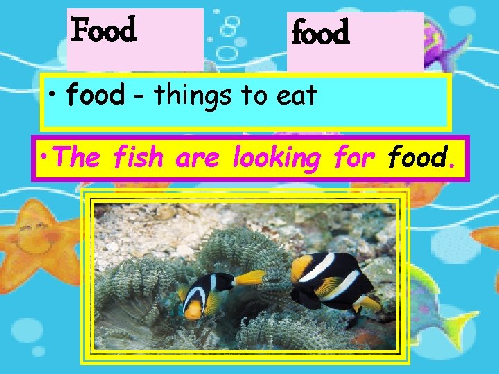 Food food • food - things to eat • The fish are looking for