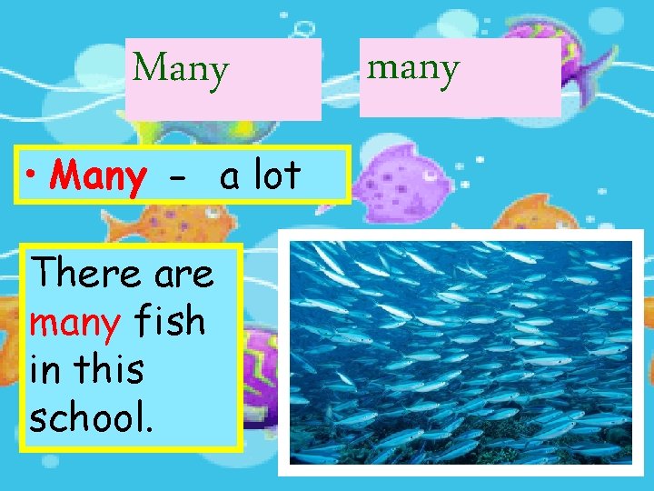 Many • Many - a lot There are many fish in this school. many