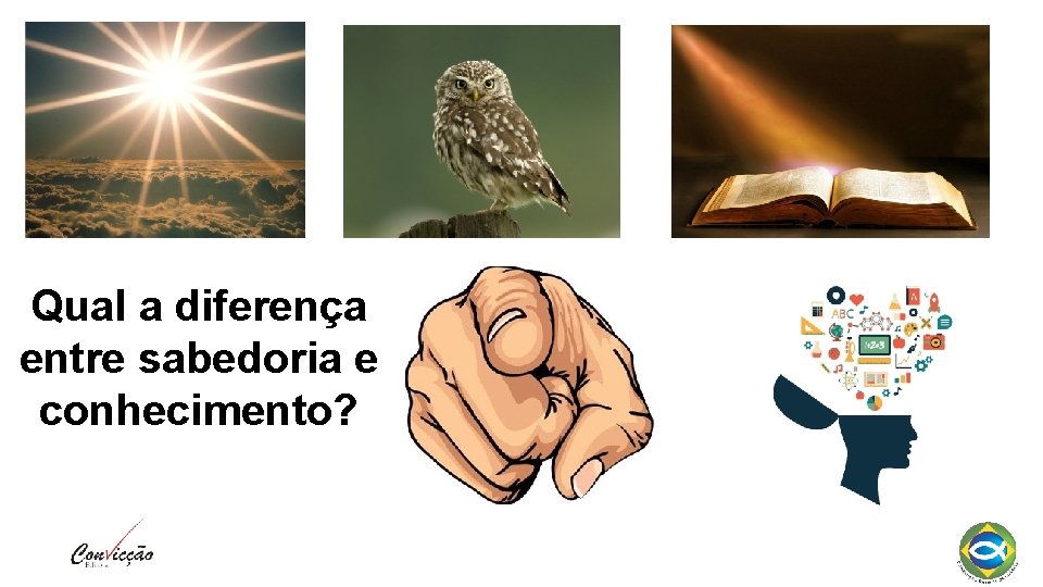 Qual a diferença entre sabedoria e conhecimento? 