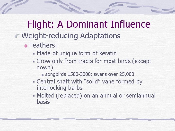 Flight: A Dominant Influence Weight-reducing Adaptations Feathers: Made of unique form of keratin Grow