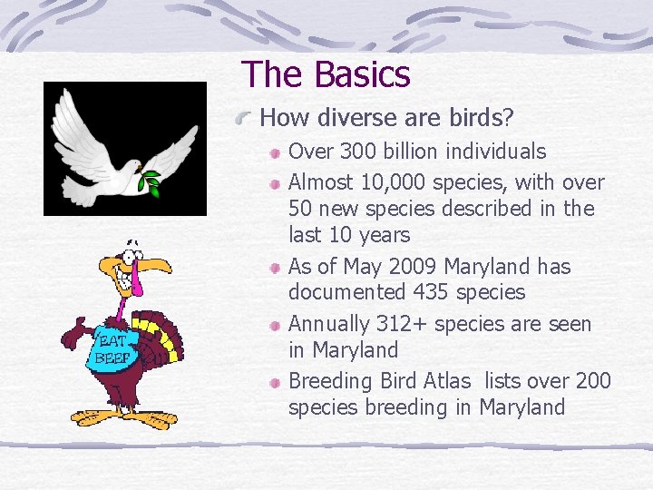 The Basics How diverse are birds? Over 300 billion individuals Almost 10, 000 species,