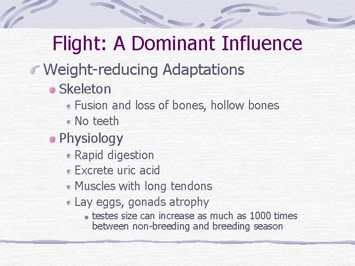 Flight: A Dominant Influence Weight-reducing Adaptations Skeleton Fusion and loss of bones, hollow bones