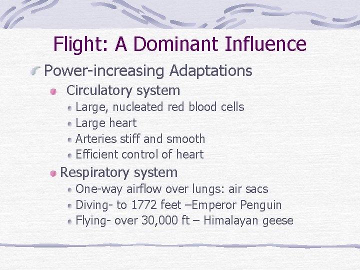 Flight: A Dominant Influence Power-increasing Adaptations Circulatory system Large, nucleated red blood cells Large