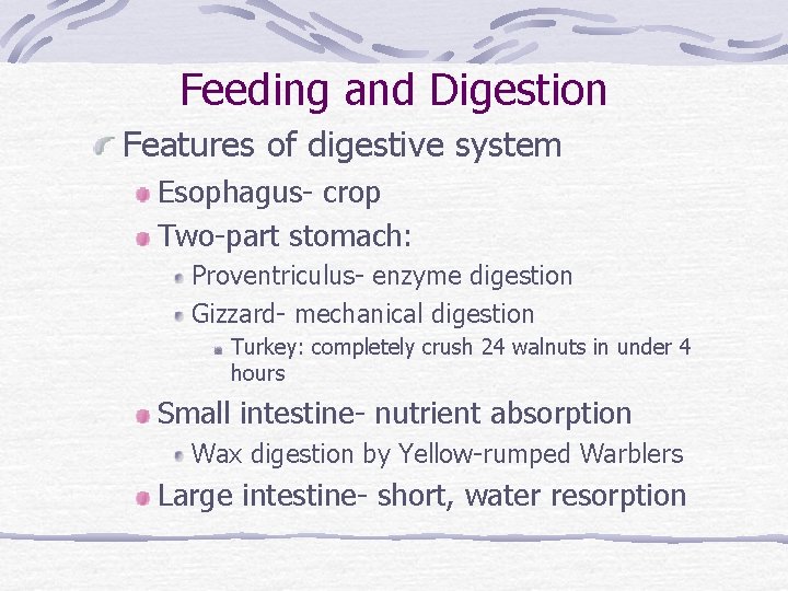 Feeding and Digestion Features of digestive system Esophagus- crop Two-part stomach: Proventriculus- enzyme digestion