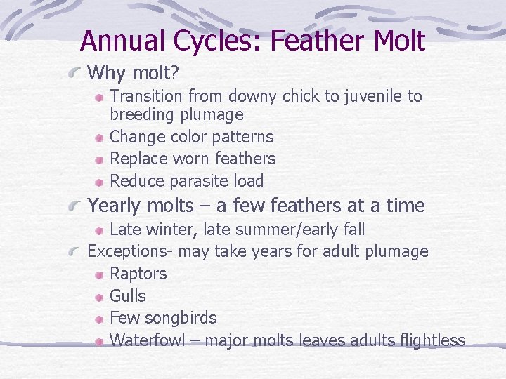 Annual Cycles: Feather Molt Why molt? Transition from downy chick to juvenile to breeding