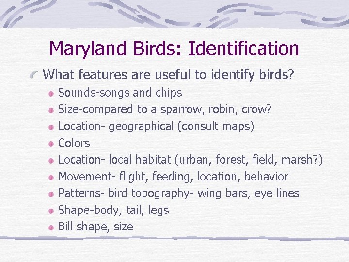 Maryland Birds: Identification What features are useful to identify birds? Sounds-songs and chips Size-compared