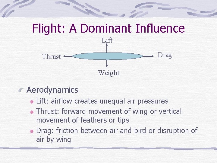 Flight: A Dominant Influence Lift Drag Thrust Weight Aerodynamics Lift: airflow creates unequal air