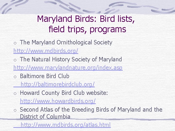 Maryland Birds: Bird lists, field trips, programs o The Maryland Ornithological Society http: //www.