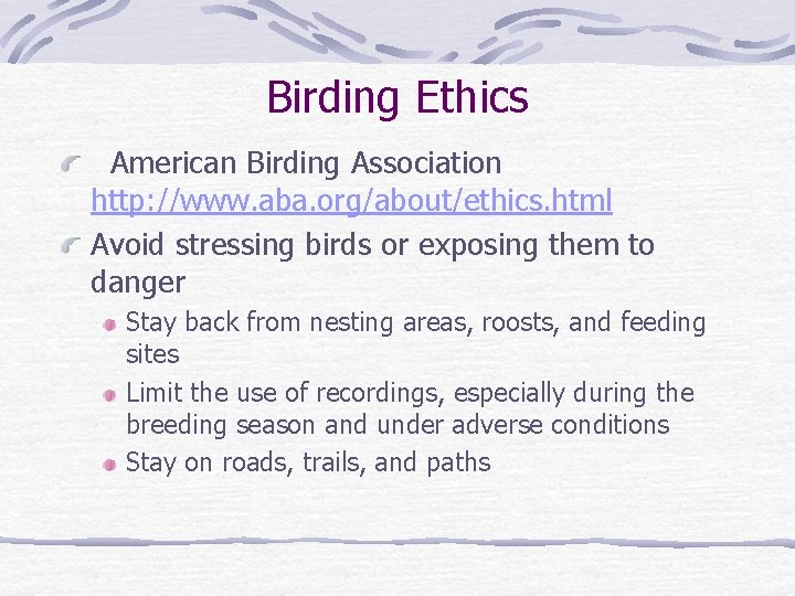 Birding Ethics American Birding Association http: //www. aba. org/about/ethics. html Avoid stressing birds or