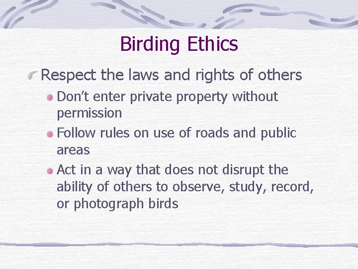 Birding Ethics Respect the laws and rights of others Don’t enter private property without
