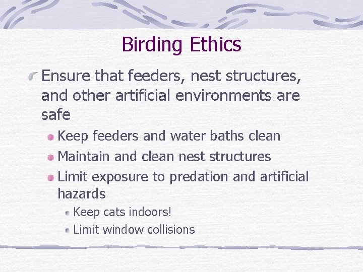 Birding Ethics Ensure that feeders, nest structures, and other artificial environments are safe Keep