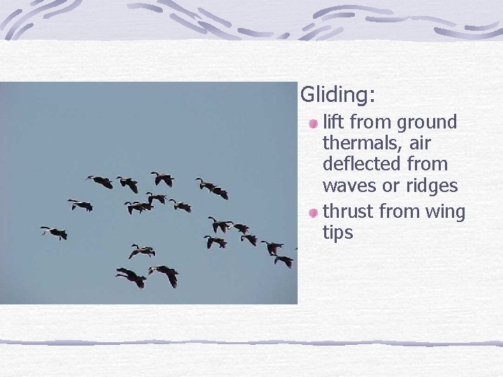 Gliding: lift from ground thermals, air deflected from waves or ridges thrust from wing