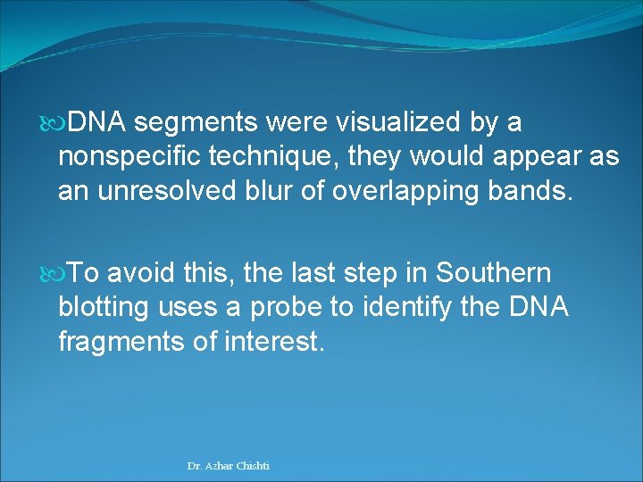  DNA segments were visualized by a nonspecific technique, they would appear as an