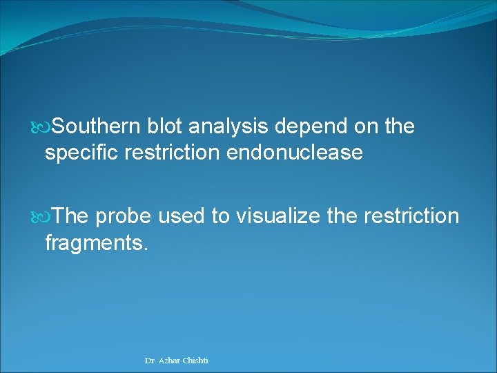  Southern blot analysis depend on the specific restriction endonuclease The probe used to