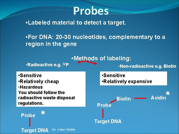 Probes • Labeled material to detect a target. • For DNA: 20 -30 nucleotides,