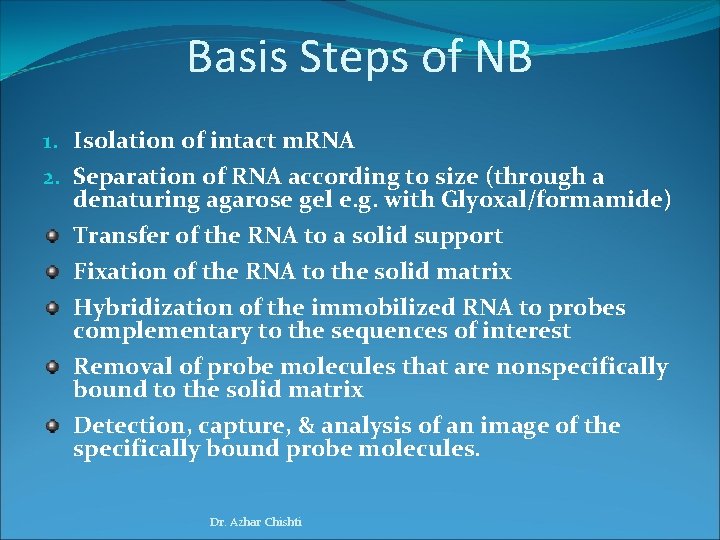 Basis Steps of NB 1. Isolation of intact m. RNA 2. Separation of RNA