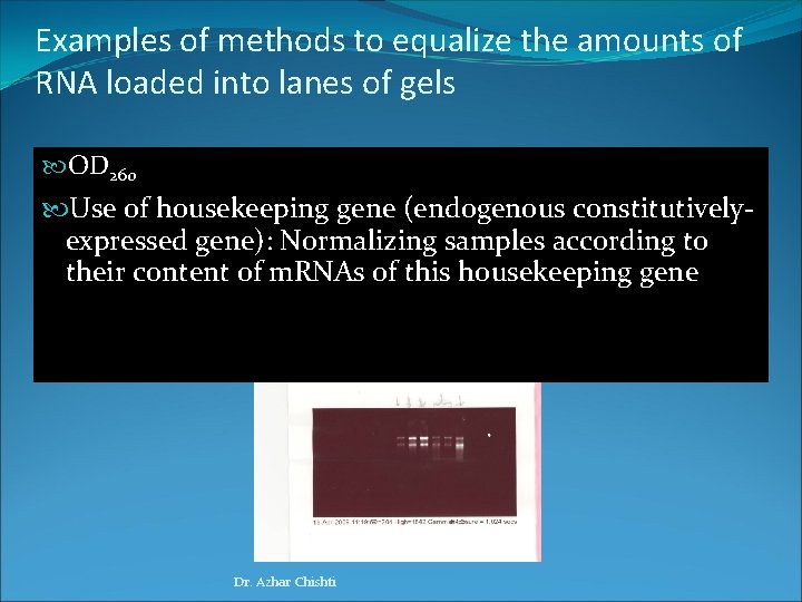 Examples of methods to equalize the amounts of RNA loaded into lanes of gels