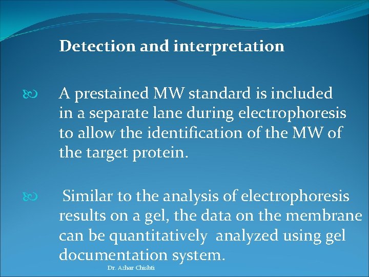 Detection and interpretation A prestained MW standard is included in a separate lane during