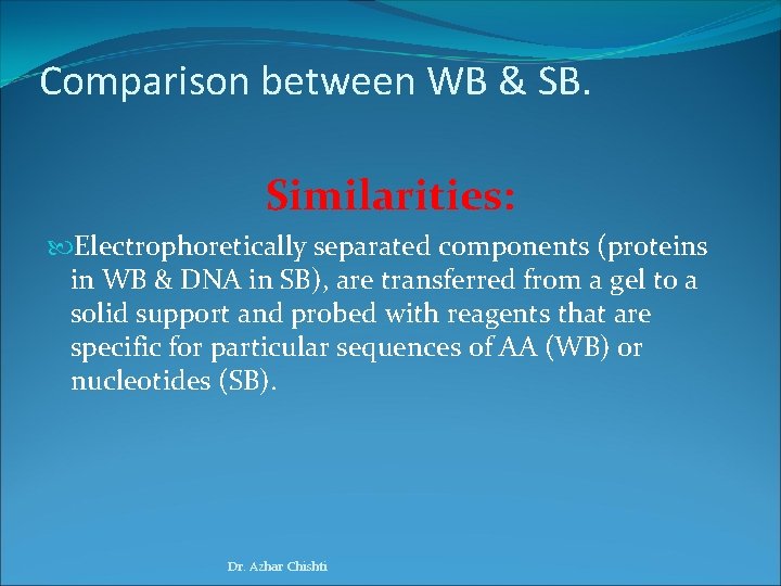 Comparison between WB & SB. Similarities: Electrophoretically separated components (proteins in WB & DNA