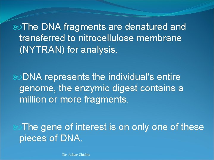  The DNA fragments are denatured and transferred to nitrocellulose membrane (NYTRAN) for analysis.