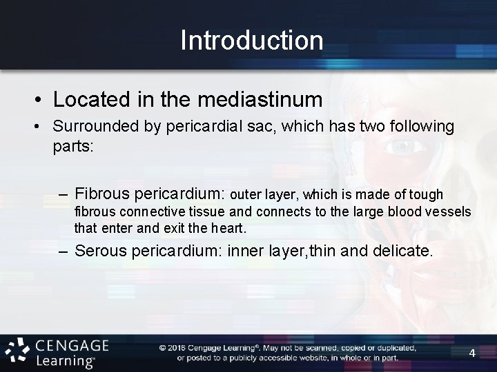 Introduction • Located in the mediastinum • Surrounded by pericardial sac, which has two