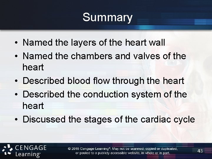 Summary • Named the layers of the heart wall • Named the chambers and