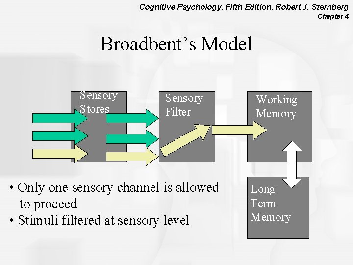 Cognitive Psychology, Fifth Edition, Robert J. Sternberg Chapter 4 Broadbent’s Model Sensory Stores Sensory