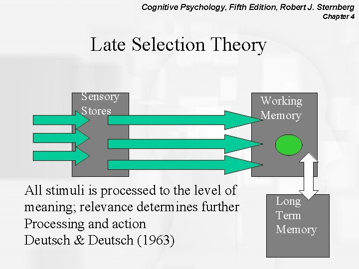 Cognitive Psychology, Fifth Edition, Robert J. Sternberg Chapter 4 Late Selection Theory Sensory Stores