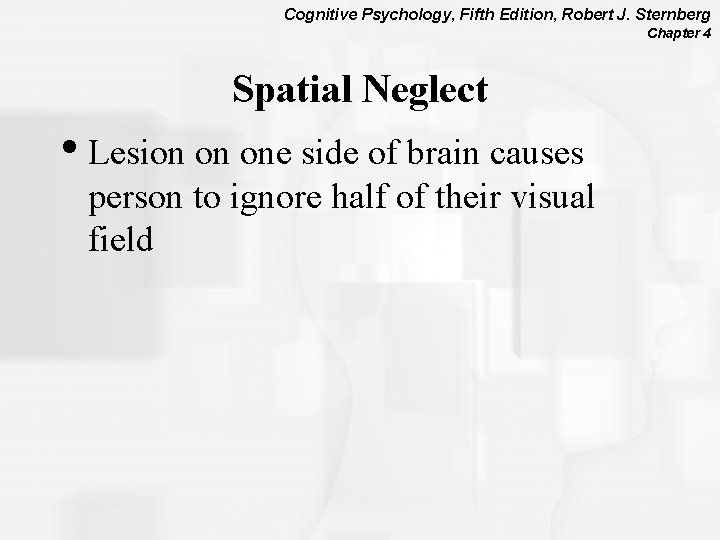 Cognitive Psychology, Fifth Edition, Robert J. Sternberg Chapter 4 Spatial Neglect • Lesion on
