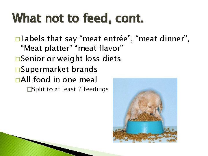 What not to feed, cont. � Labels that say “meat entrée”, “meat dinner”, “Meat