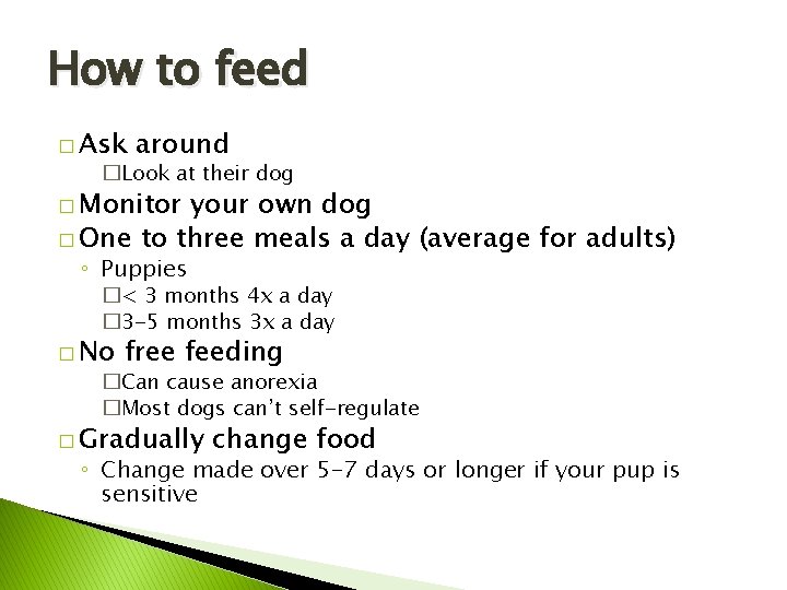 How to feed � Ask around �Look at their dog � Monitor your own