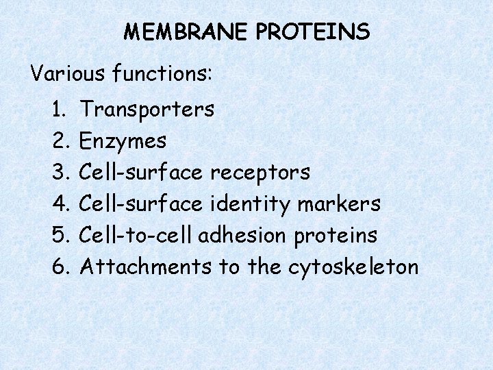 MEMBRANE PROTEINS Various functions: 1. 2. 3. 4. 5. 6. Transporters Enzymes Cell-surface receptors